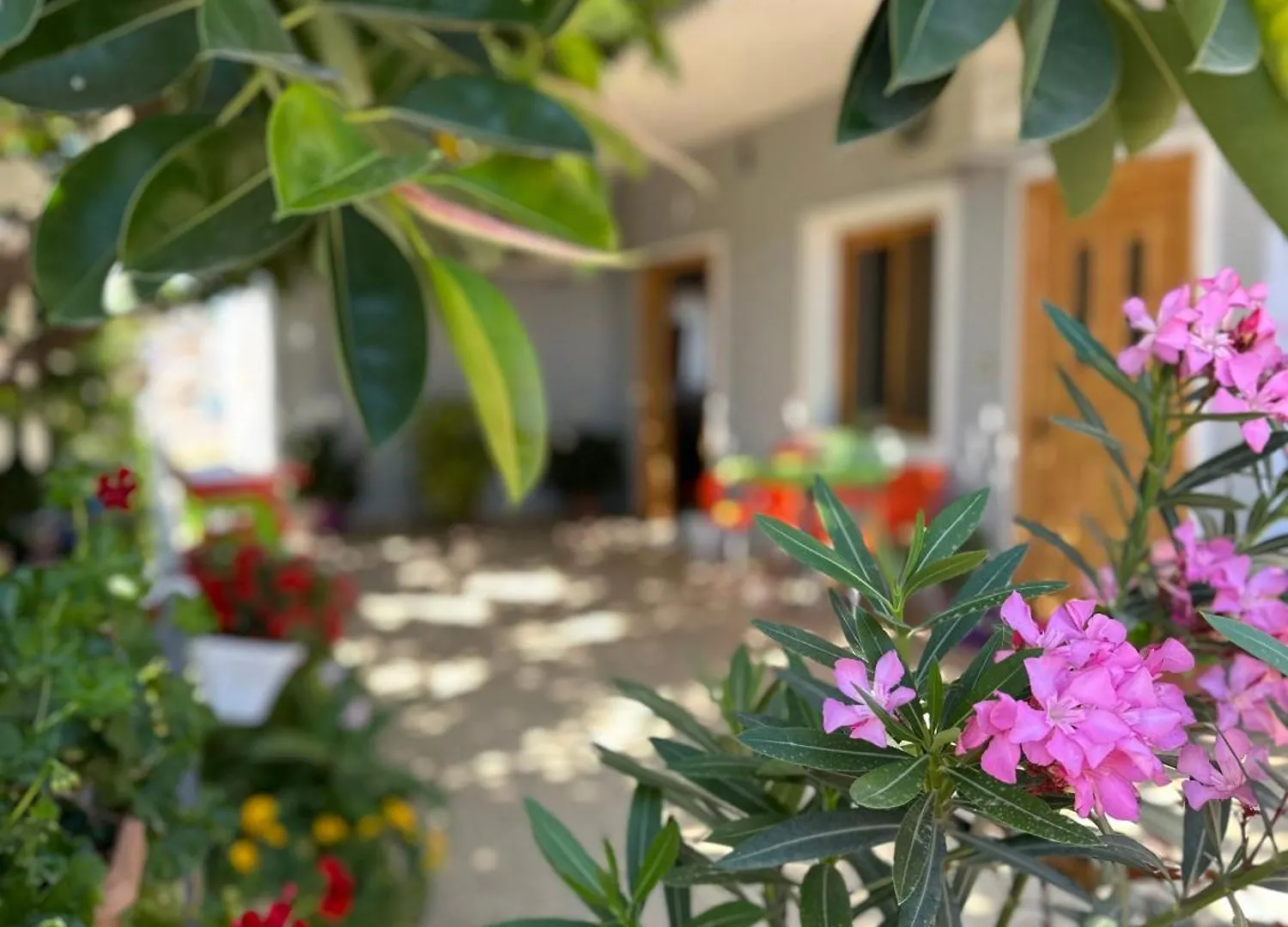 Guest house Albi'S Guesthouse Ksamil